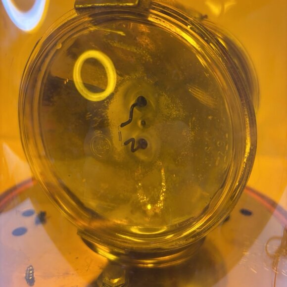 Dominion Automotive 74-5146X Teardrop Light Beacon KD Lamp Amber Emergency MiC - Picture 10 of 16